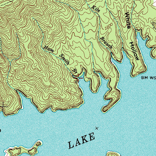 Topographic Map of Ham Smith Branch, TN