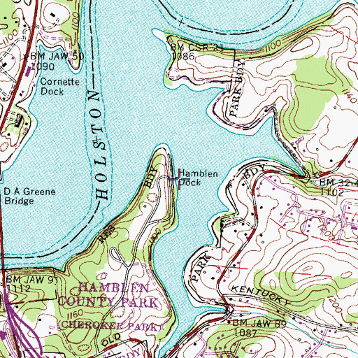 Topographic Map of Hamblen Dock, TN
