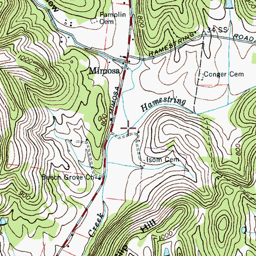 Topographic Map of Hamestring Branch, TN