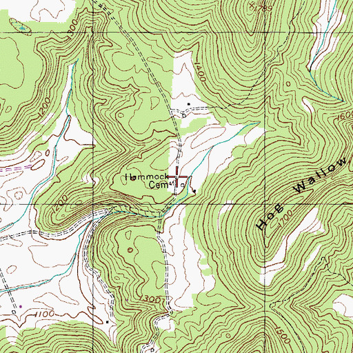 Topographic Map of Hammock Cemetery, TN