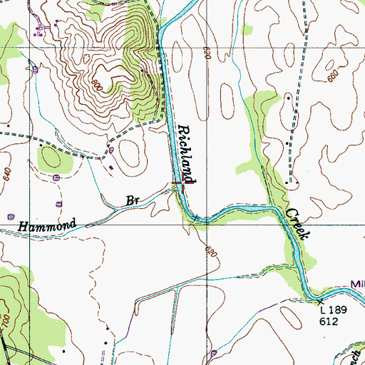 Topographic Map of Hammond Branch, TN