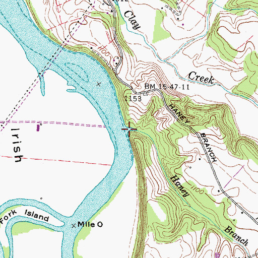 Topographic Map of Haney Branch, TN
