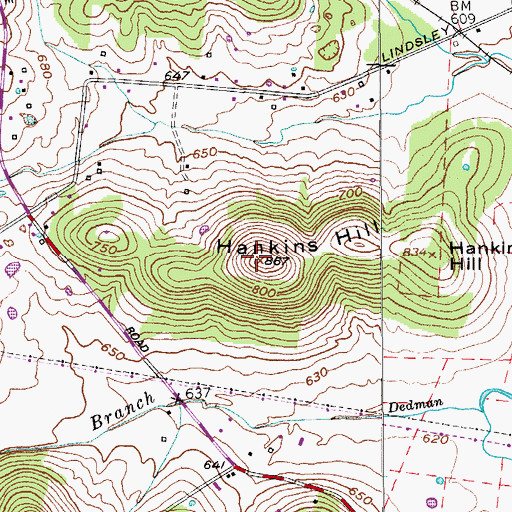 Topographic Map of Hankins Hill, TN