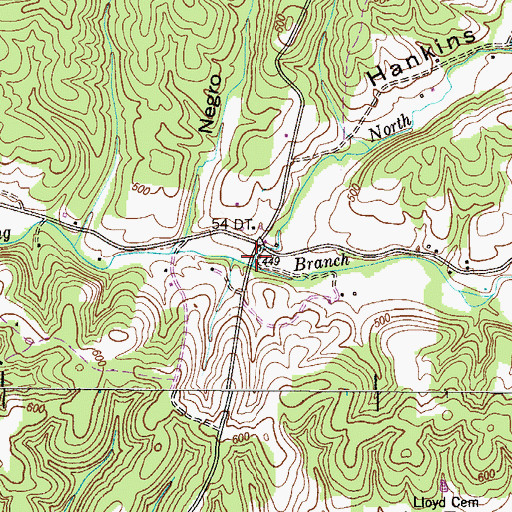 Topographic Map of Hankins Hollow, TN