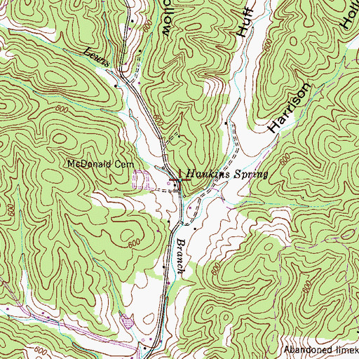 Topographic Map of Hankins Spring, TN