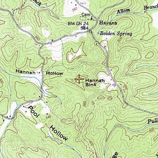 Topographic Map of Hannah Sink, TN