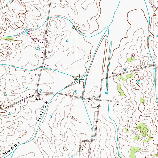 Topographic Map of Happy Hollow, TN