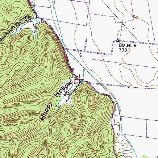 Topographic Map of Happy Hollow, TN