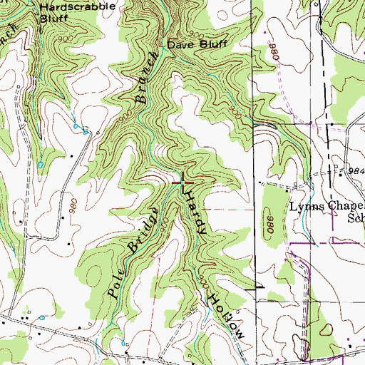 Topographic Map of Hardy Hollow, TN