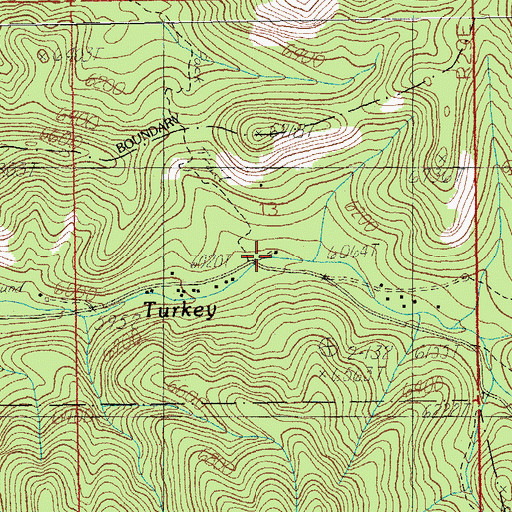 Topographic Map of Turkey Creek Ranger Station, AZ