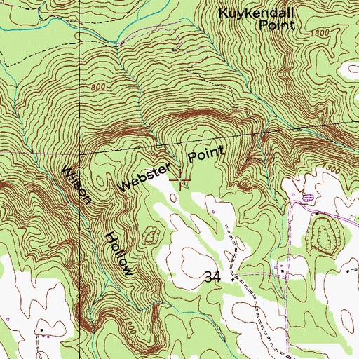 Topographic Map of Webster Point, AL