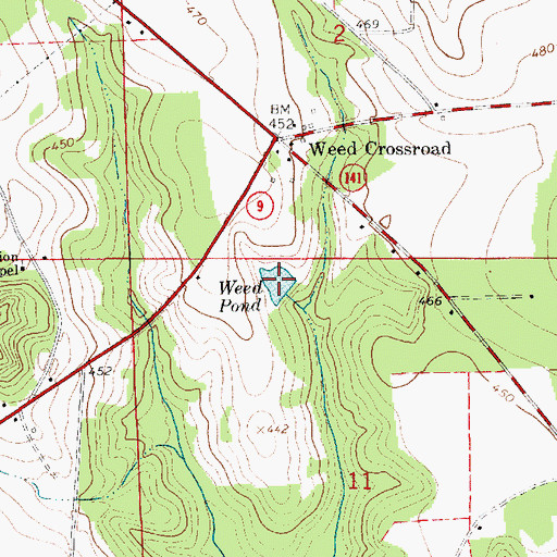 Topographic Map of Weed Pond, AL