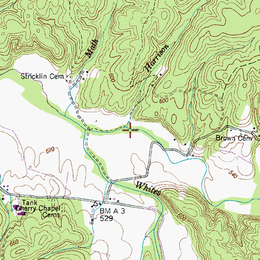 Topographic Map of Harrison Branch, TN