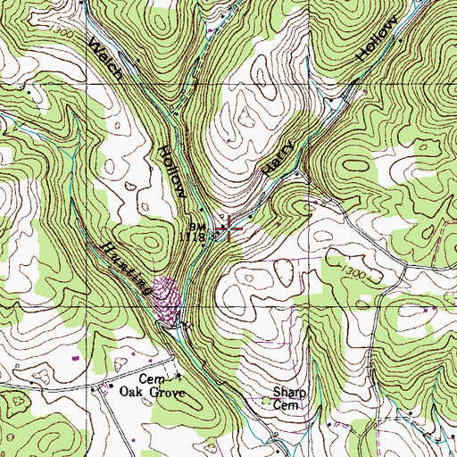 Topographic Map of Harry Hollow, TN