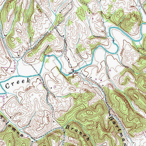 Topographic Map of Hartman Branch, TN