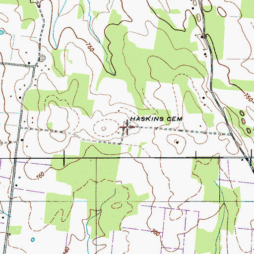 Topographic Map of Haskins Cemetery, TN