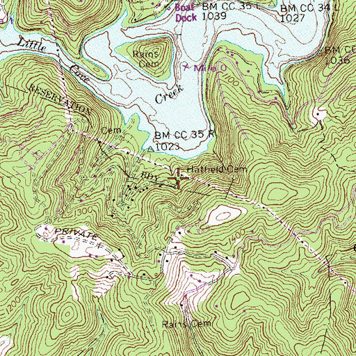 Topographic Map of Hatfield Cemetery, TN