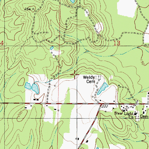 Topographic Map of Weldy Cemetery, AL