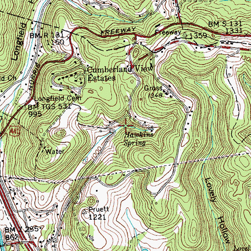 Topographic Map of Hawkins Spring, TN