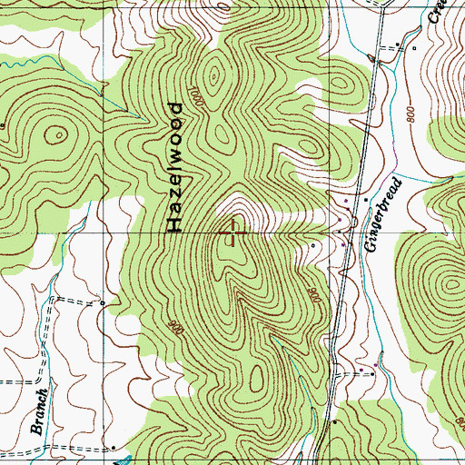 Topographic Map of Hazelwood Hill, TN