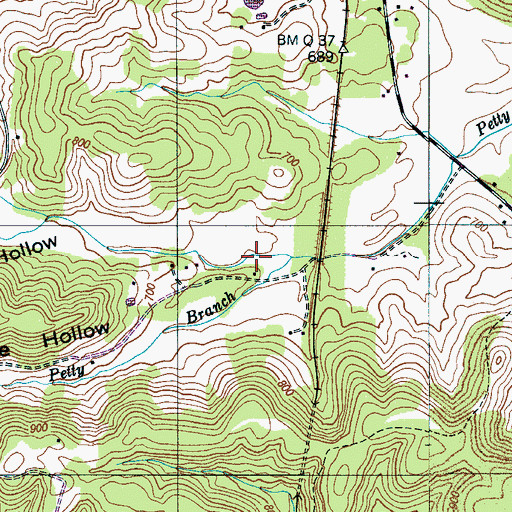 Topographic Map of Hazelwood Hollow, TN