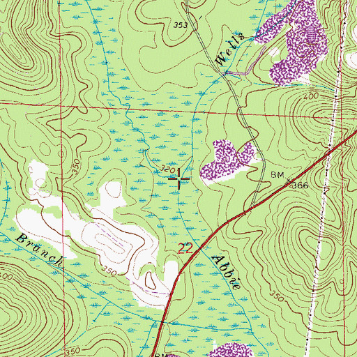 Topographic Map of Wells Branch, AL