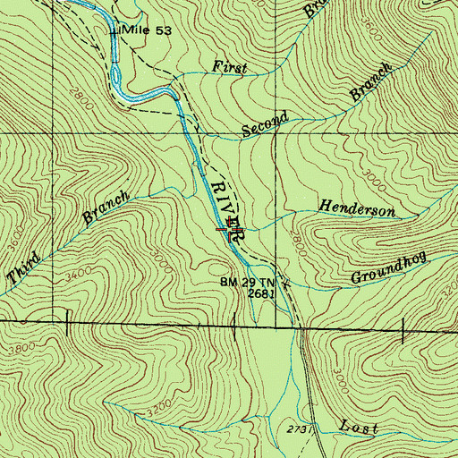 Topographic Map of Henderson Branch, TN