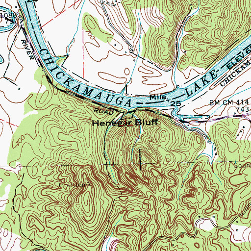 Topographic Map of Henegar Bluff, TN