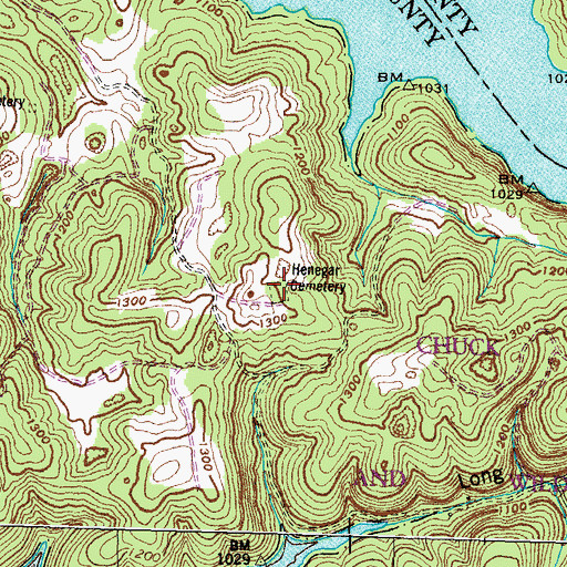 Topographic Map of Henegar Cemetery, TN