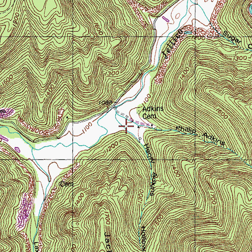Topographic Map of Henry Adkins Hollow, TN