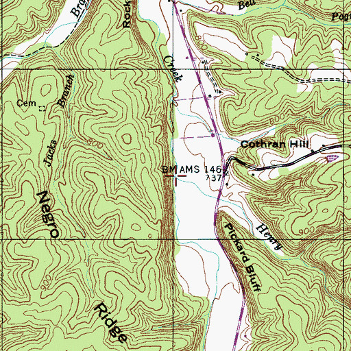 Topographic Map of Henry Branch, TN