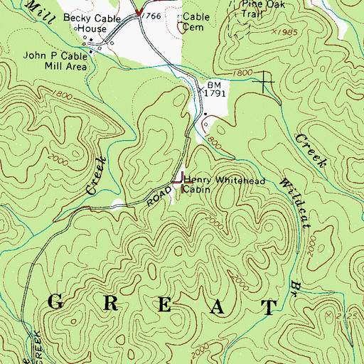 Topographic Map of Henry Whitehead Cabin, TN