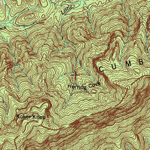 Topographic Map of Herring Cove, TN