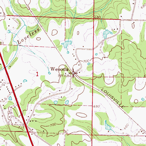 Topographic Map of Wesoda, AL