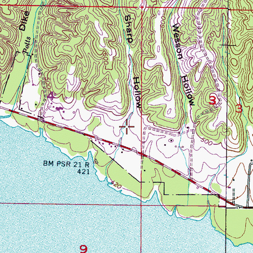 Topographic Map of Wesson Hollow, AL
