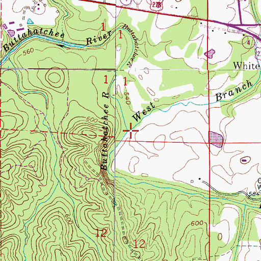 Topographic Map of West Branch Buttahatchee River, AL