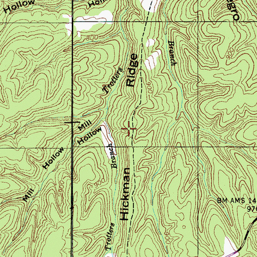 Topographic Map of Hickman Ridge, TN