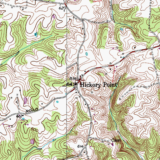Topographic Map of Hickory Point, TN