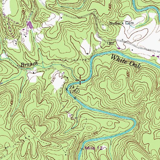 Topographic Map of Hickory Spring Branch, TN