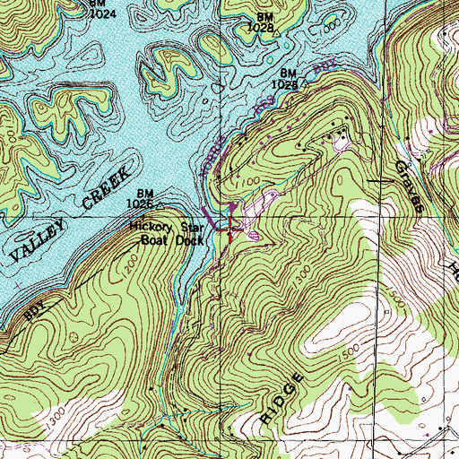 Topographic Map of Hickory Star Boat Dock, TN