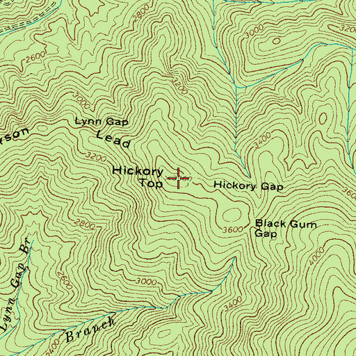 Topographic Map of Hickory Top, TN