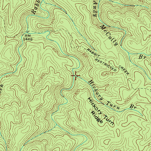 Topographic Map of Hickory Turn Branch, TN