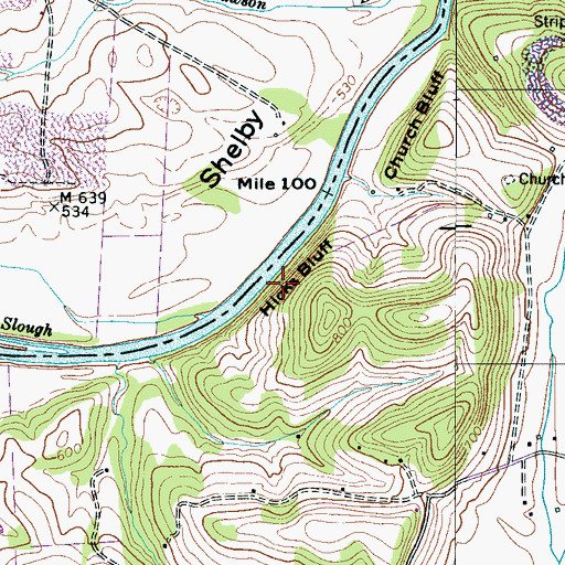 Topographic Map of Hicks Bluff, TN
