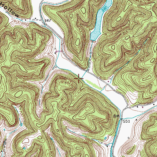 Topographic Map of Hicks Branch, TN