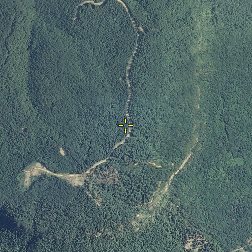 Aerial/Satellite Image of Hicks Mountain, TN
