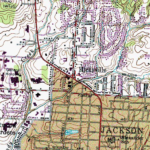 Topographic Map of Hicksville, TN