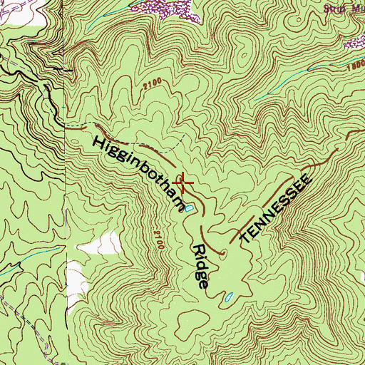 Topographic Map of Higginbotham Ridge, TN