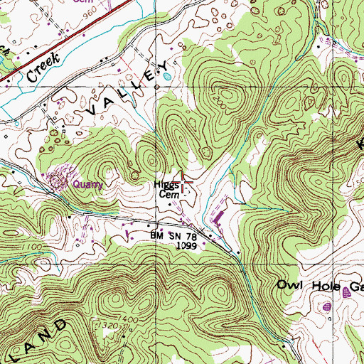 Topographic Map of Higgs Cemetery, TN