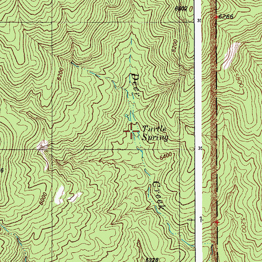 Topographic Map of Turkey Spring, AZ