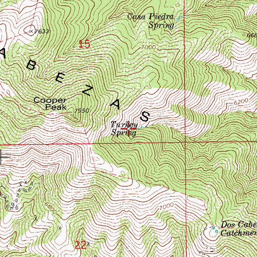 Topographic Map of Turkey Spring, AZ